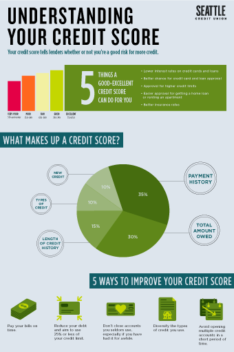 understanding your credit score infographic