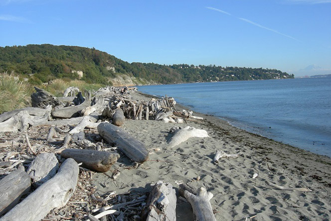 Discovery Park